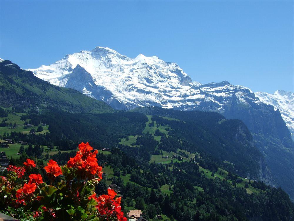 Minotel Bellevue Wengen Eksteriør billede