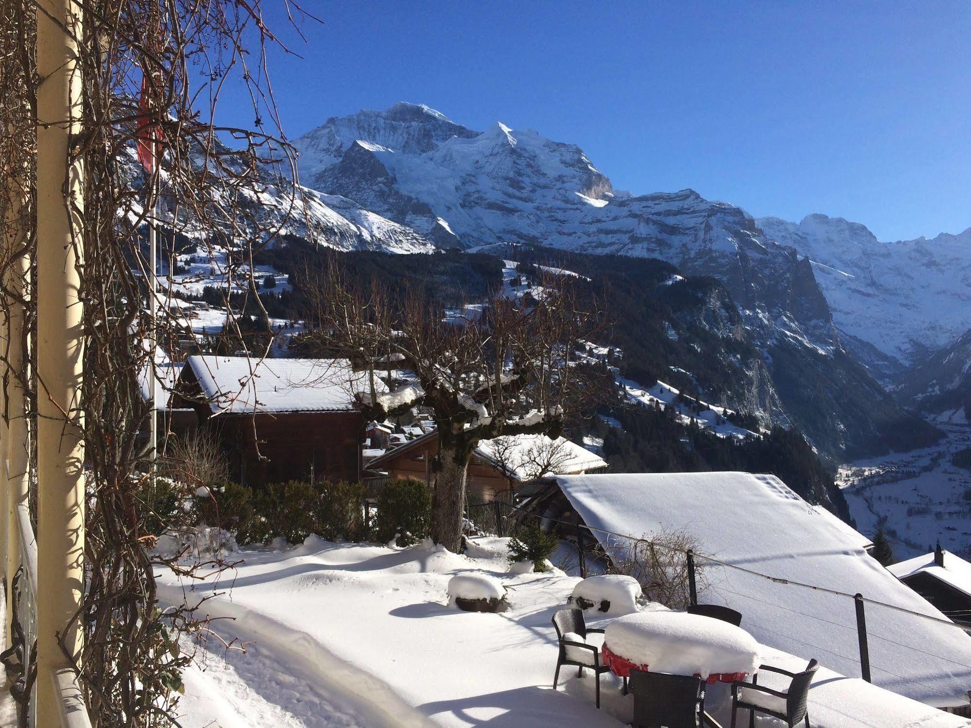 Minotel Bellevue Wengen Eksteriør billede